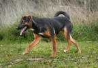 Bessy 5