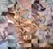 Sammy 7