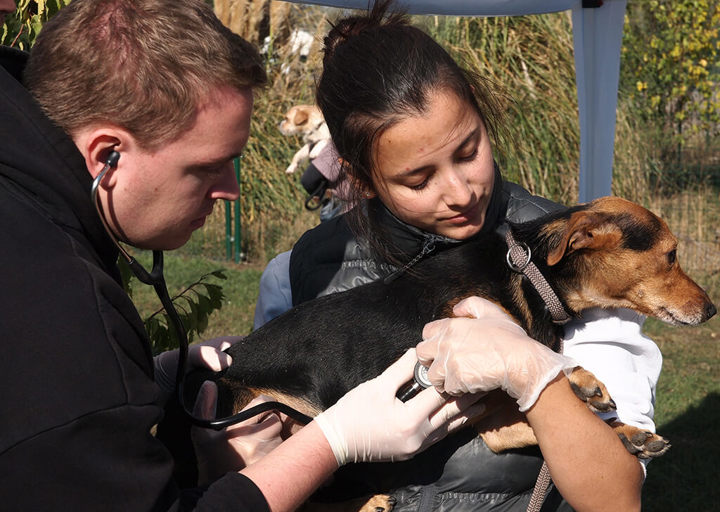 Kopie Von 25 10120559