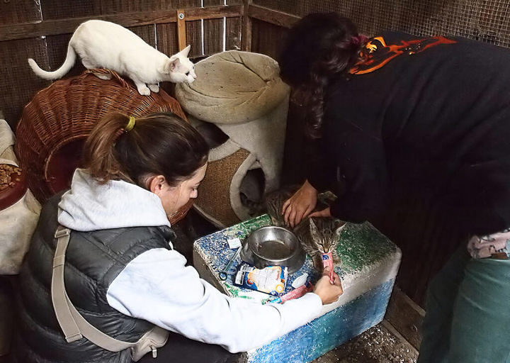 Kopie Von 25 10120299