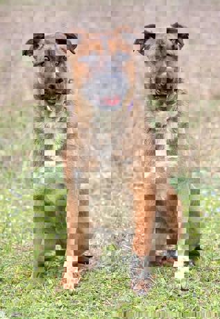 Monica 5