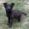 Ines 1
