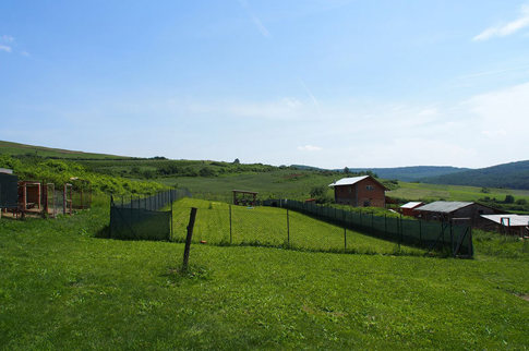 Groser-Auslaufplatz-oben-zum-Vergleich.jpg