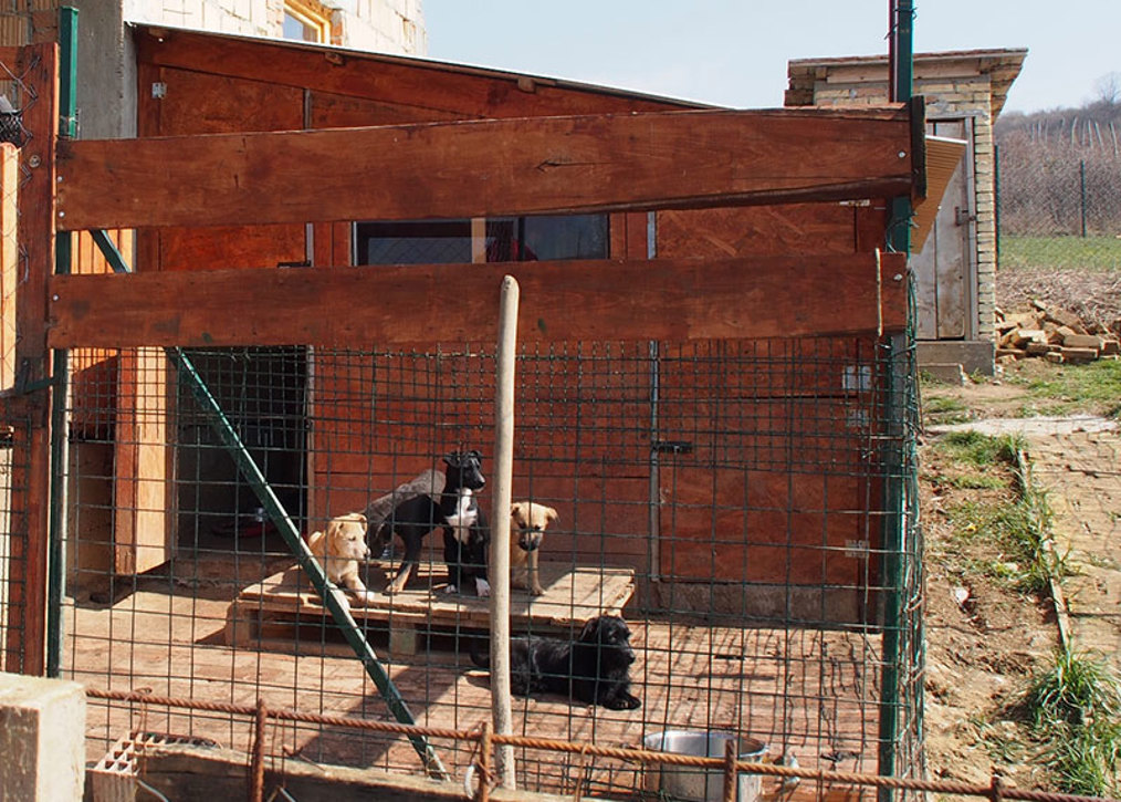 Neues-isoliertes-Holzhaus-mit-Fenstern-und-geziegelter-Terrasse-neben-dem-Haupthaus.jpg