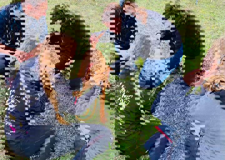 Aca Careday Okt 2025 34