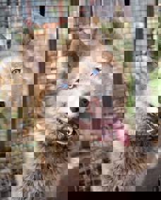 Alvin_1.jpg