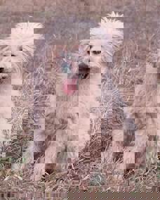 Bonita_1.jpg (2)