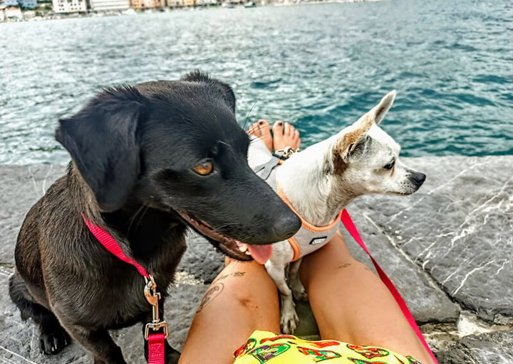 Pippa3