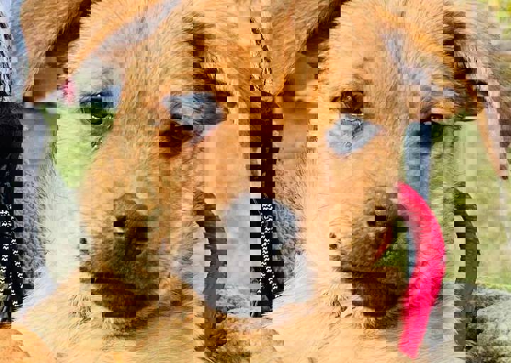 Aca Careday Okt 2025 28