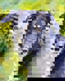 Marco 1 (1)