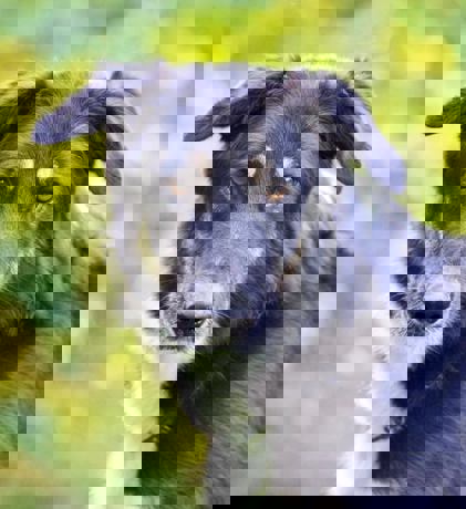 Marco 1 (1)