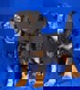 Kevin 3 (1)