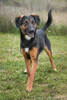 Bessy 3 (1)