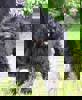 Felix 3 (1)