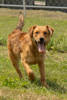 Lorin 3 (1)