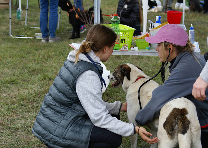 Kopie Von 25 10120428