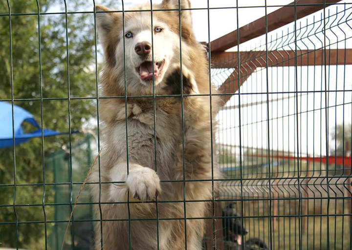 Kopie Von 25 10120114