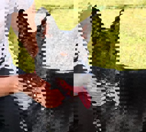 Kimi 3