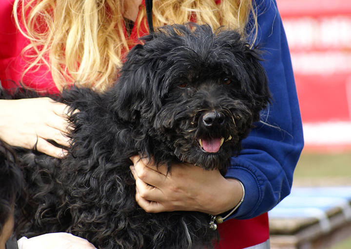 Kopie Von 25 10120321