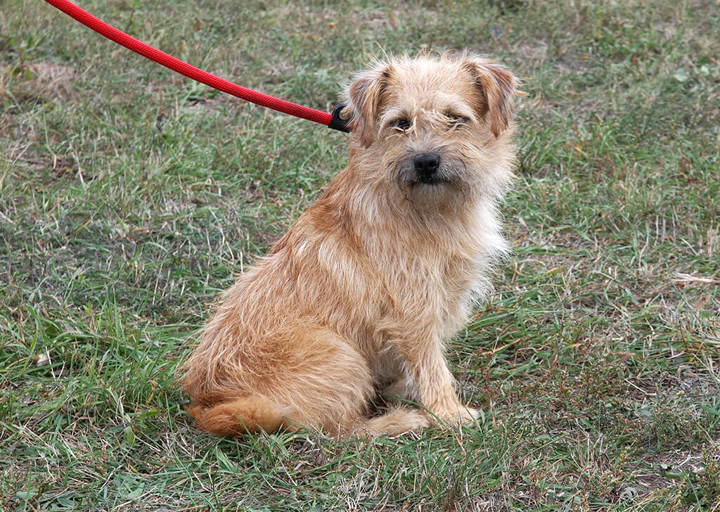 Kopie Von 25 10120426