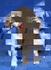 Woody 4 (1)