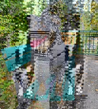 Teddy 3 (2)