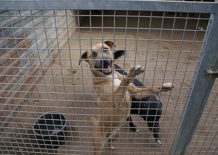 Kopie Von 25 10120278