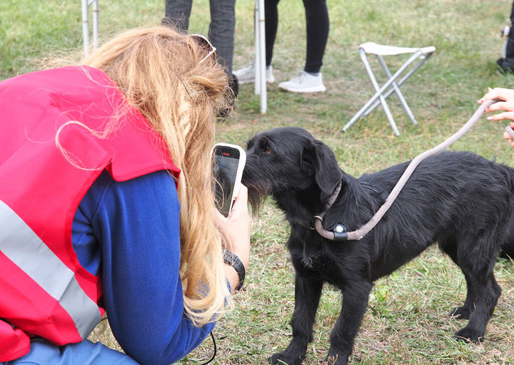 Kopie Von 25 10120438