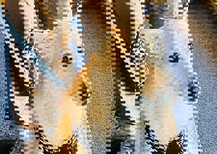 Aca Martys Party 2025 19