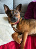 Mack 3 (1)
