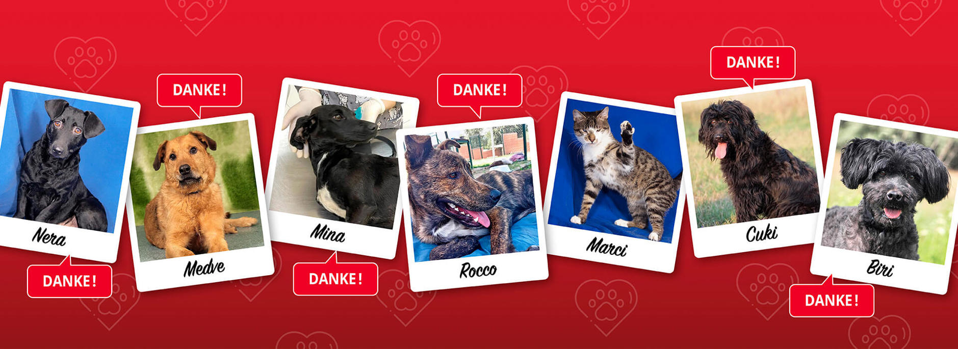 Aca Operationen Header Danke2