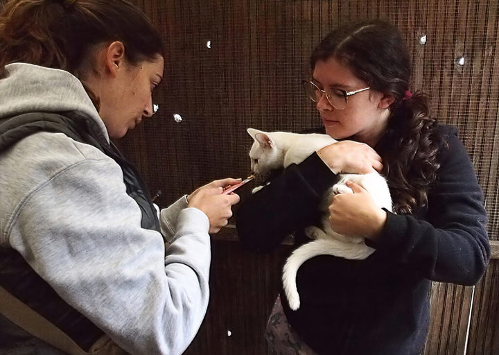 Kopie Von 25 10120267