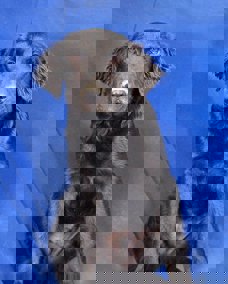 Blake 1 (1)