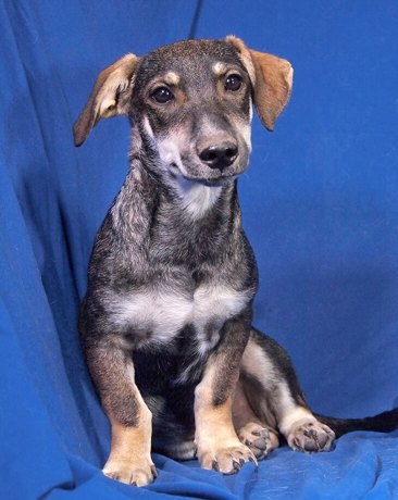 Rio 1 (2)