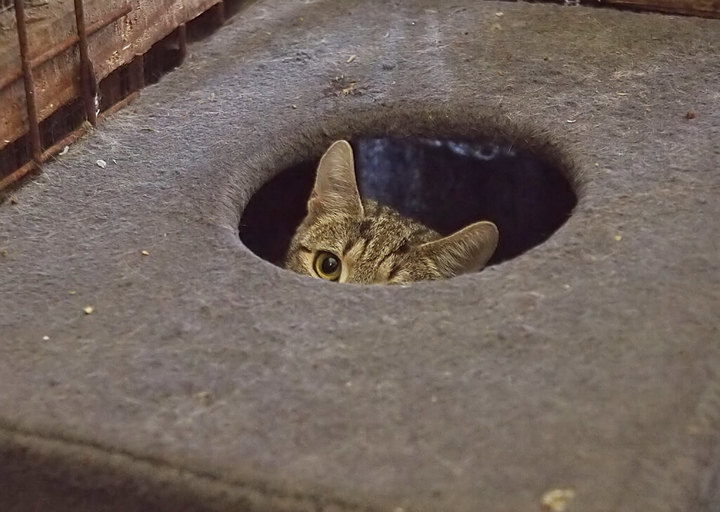 Kopie Von 25 10120270