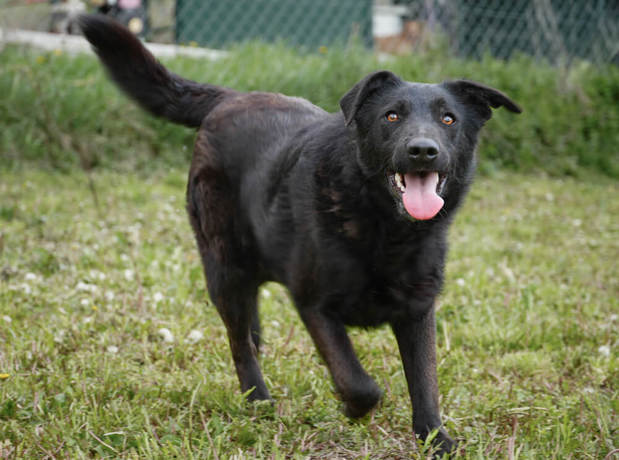 Memphis 4