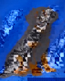 Kevin 1 (1)