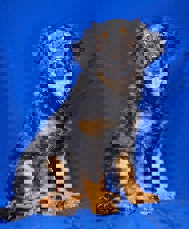 Kevin 1 (1)