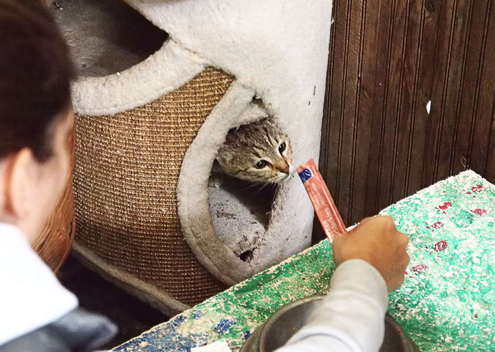 Kopie Von 25 10120294