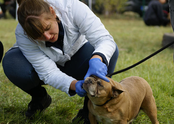 Kopie Von 25 10120399