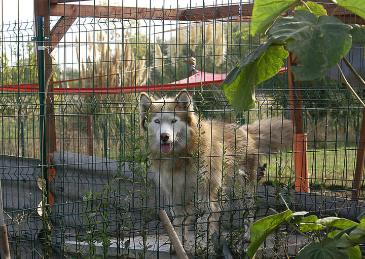 Kopie Von 25 10120109