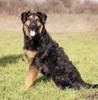 Layla 3 (2)
