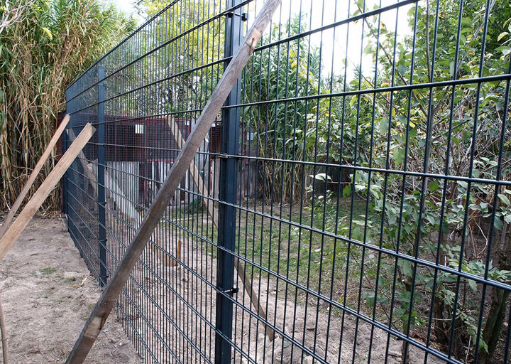 Kopie Von 25 10120205