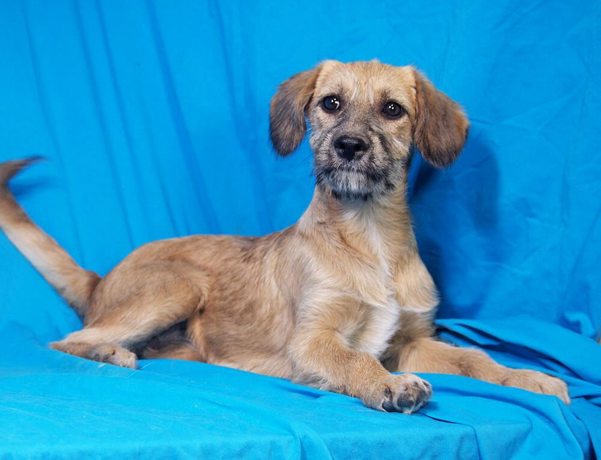 Doris 4 (1)