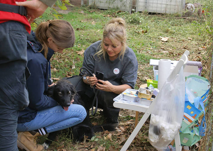 Kopie Von 25 10120262