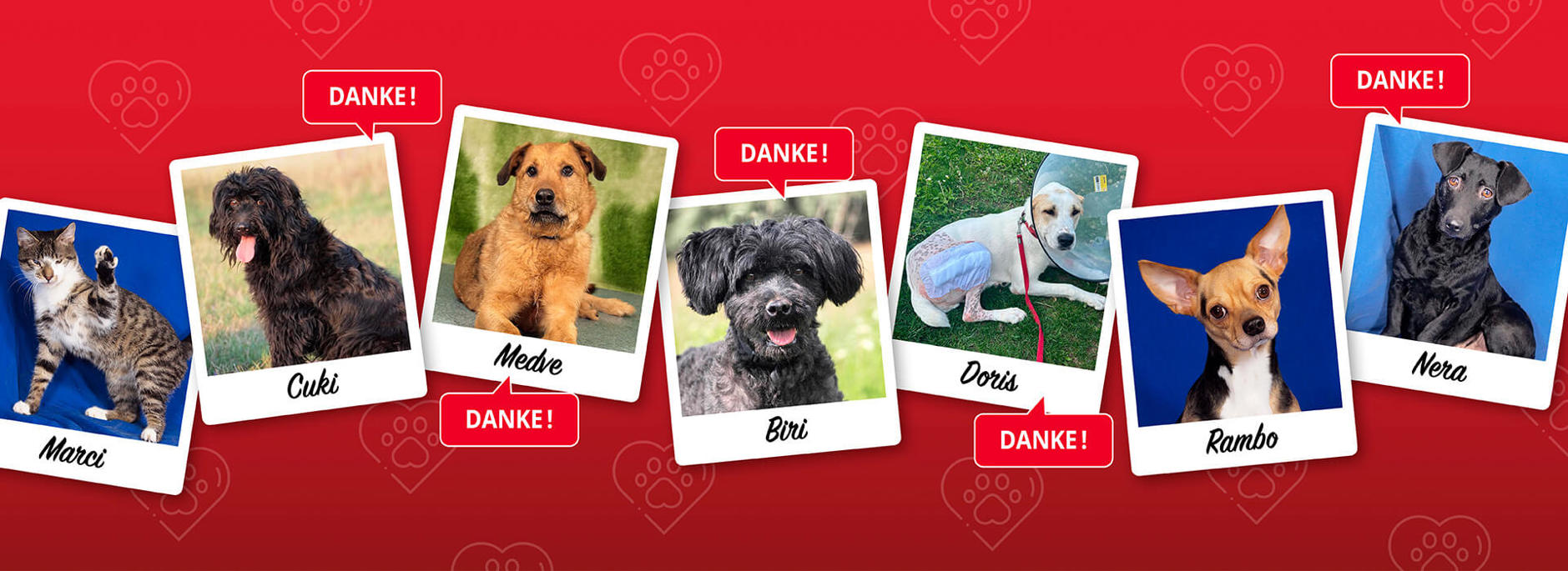 Aca Operationen Header Danke1