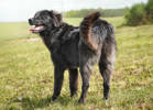 Ottilia 4