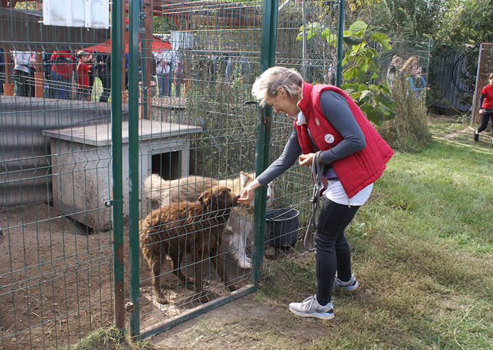 Kopie Von 25 10120119