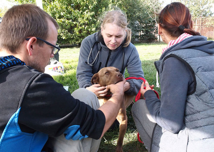 Kopie Von 25 10120141