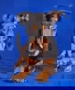 Elliot 4